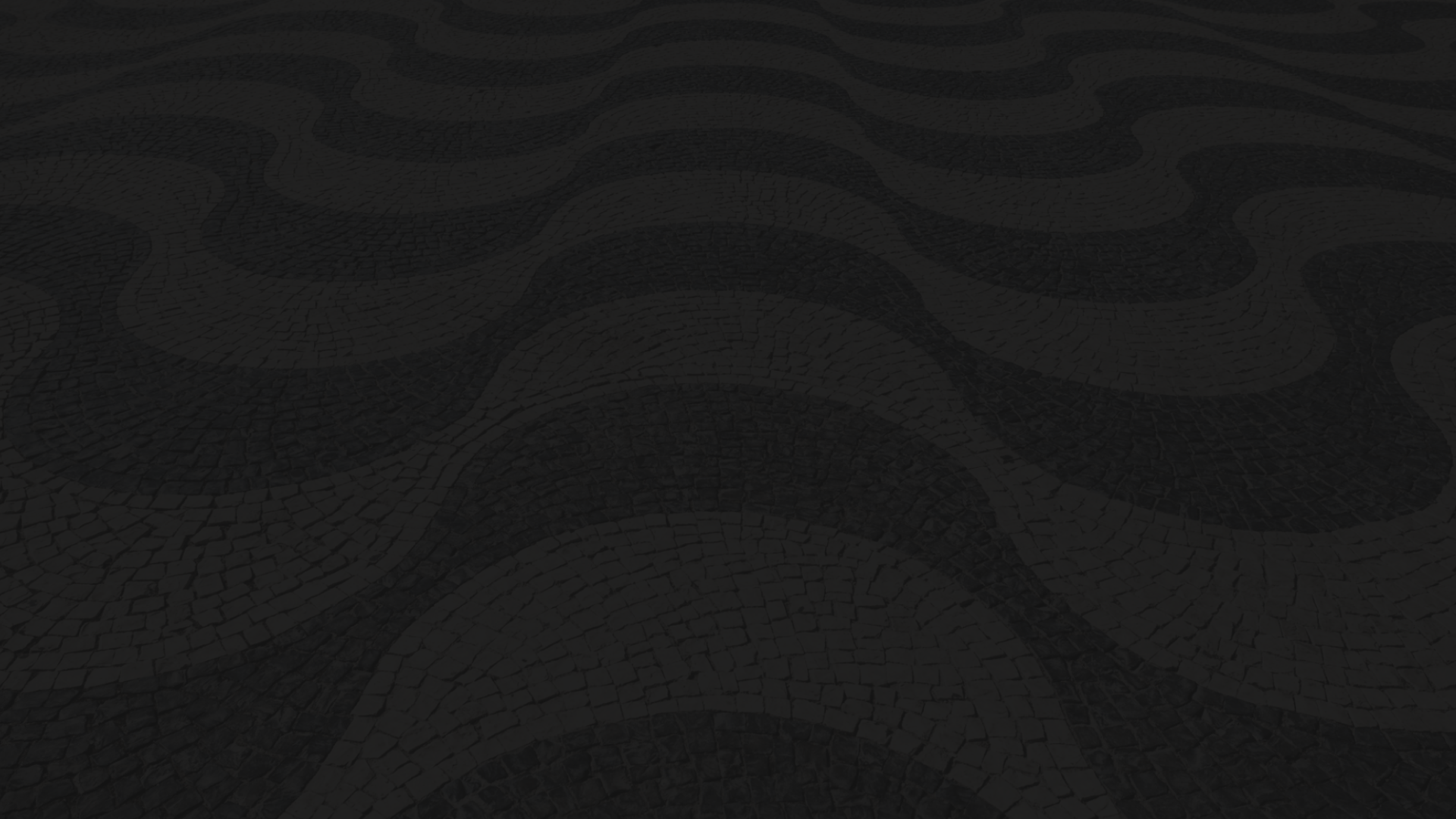 Travel Partner Banner