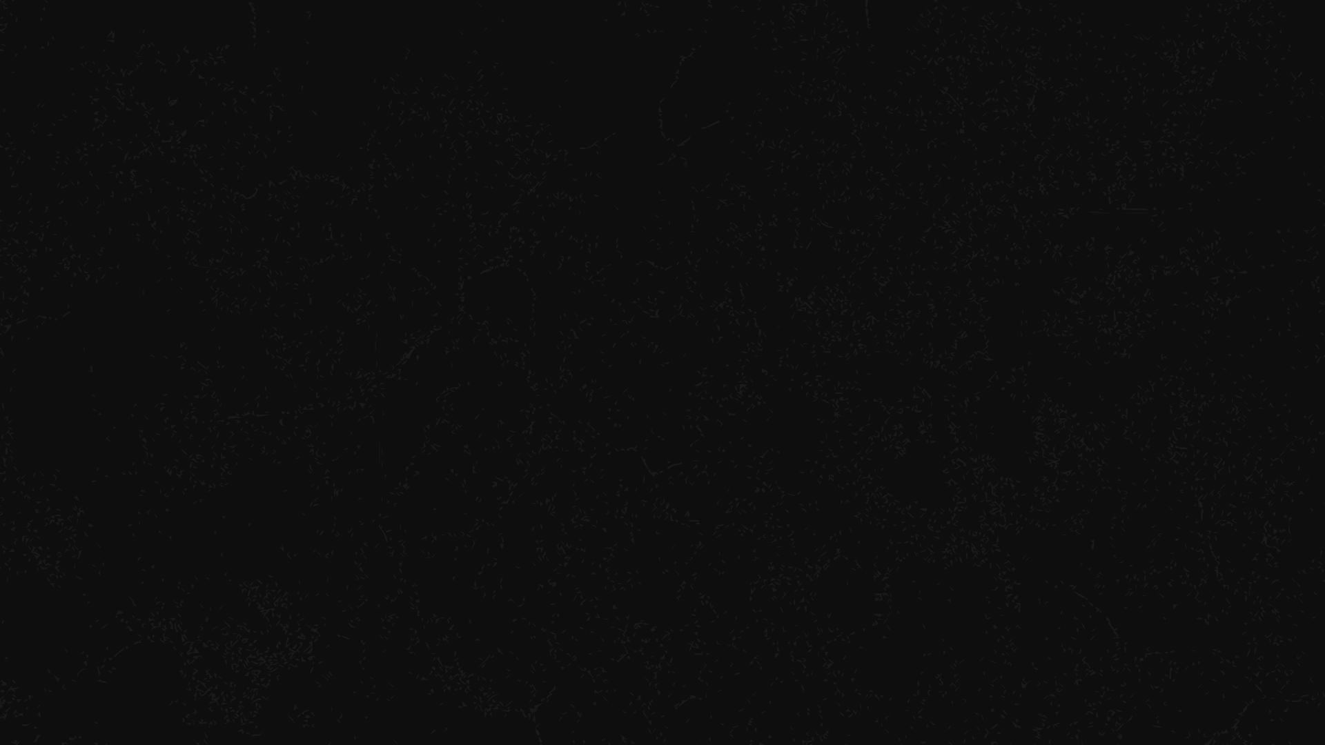 Travel Partner Banner