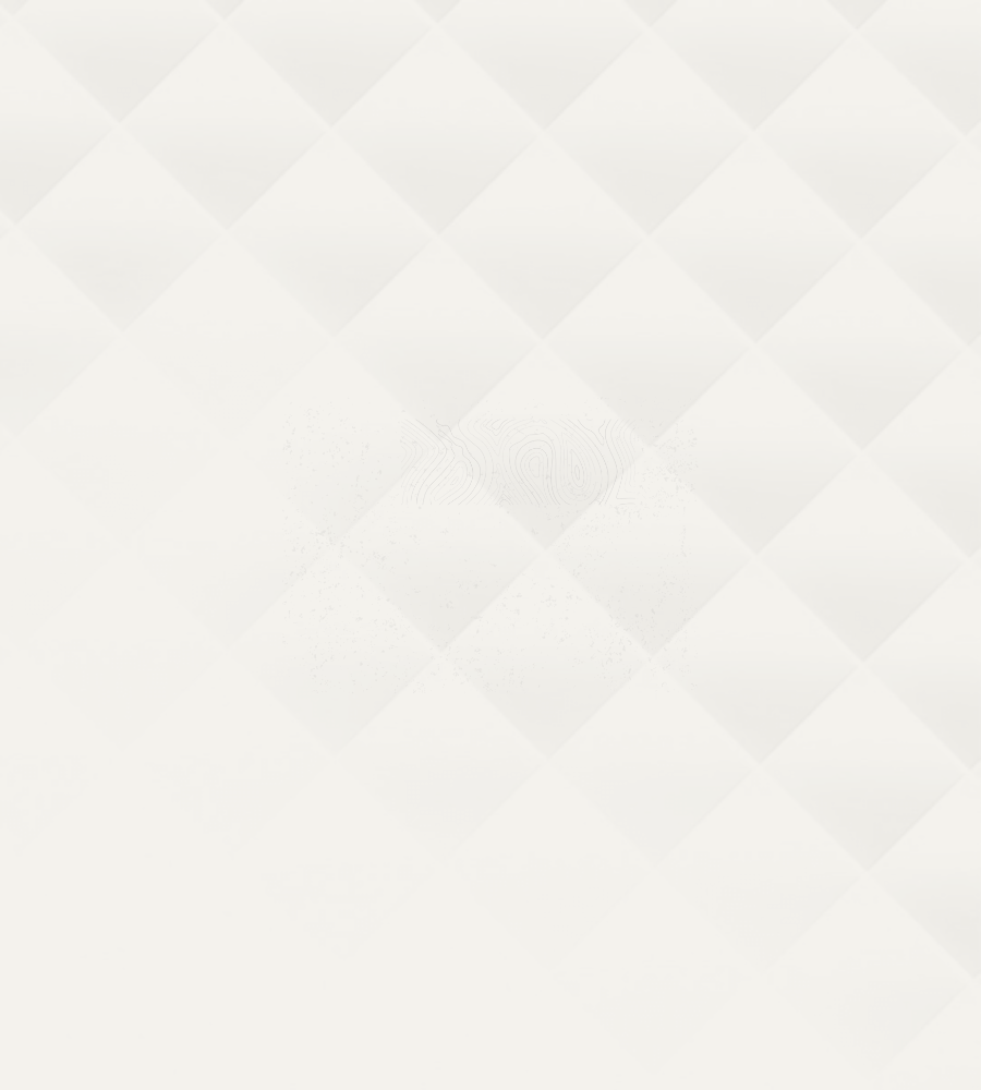 Travel Partner Banner